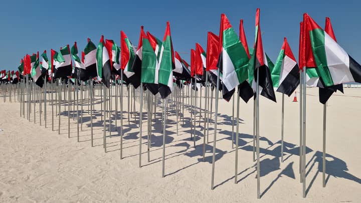 Numerous UAE flags on a sunny beach in Dubai, United Arab Emirates.