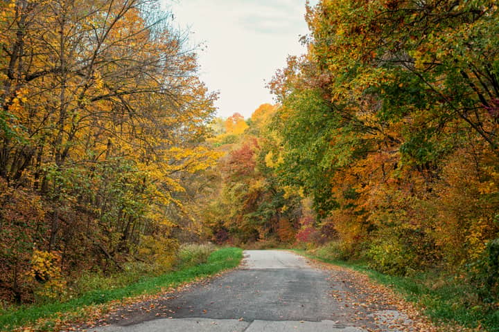 Picturesque autumn road in Ella, Wisconsin showcasing vibrant fall foliage.