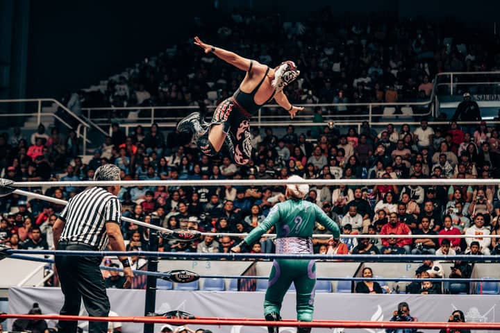 Action-packed shot of a Lucha Libre match in a crowded arena.