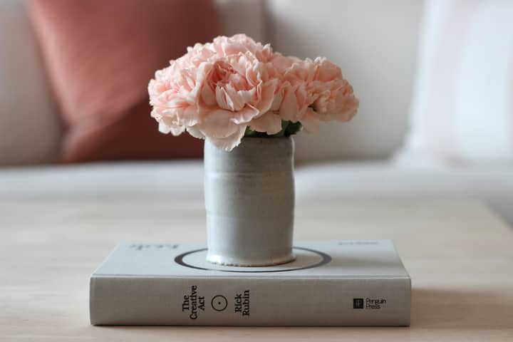 A vase of pink carnations elegantly placed on a book indoors.