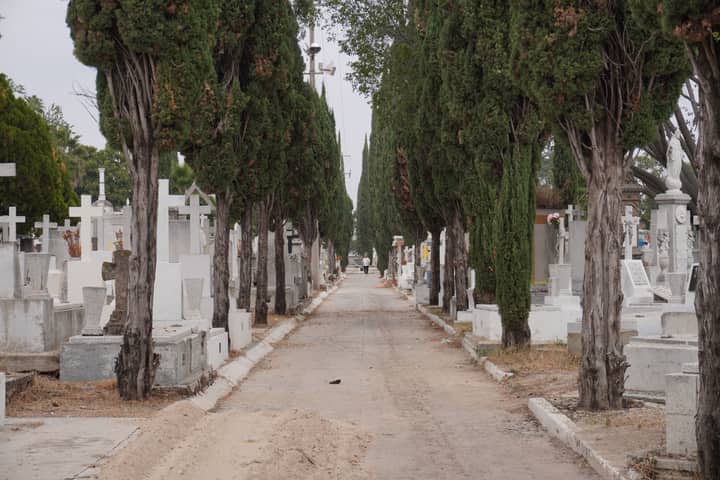 A tranquil pathway lined with trees in a cemetery in Guadalajara, Jalisco, Mexico.