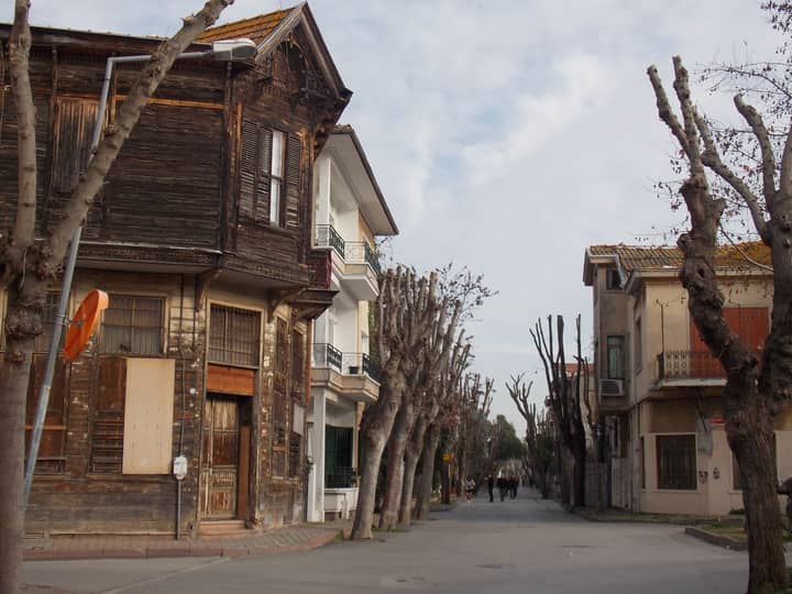 Explore a quaint street in Istanbul lined with leafless trees and rustic architecture.