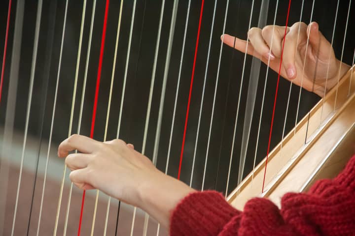 Hands gently plucking strings of a harp, capturing the essence of music and elegance.