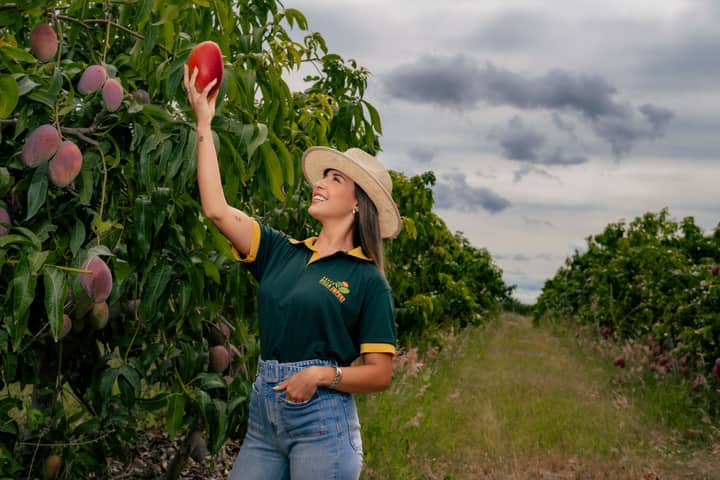 A woman reaching for a ripe mango in a lush, green orchard under a cloudy sky.