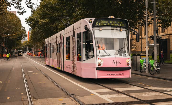 A vibrant pink tram travels down a tree-lined street in Melbourne, Australia.