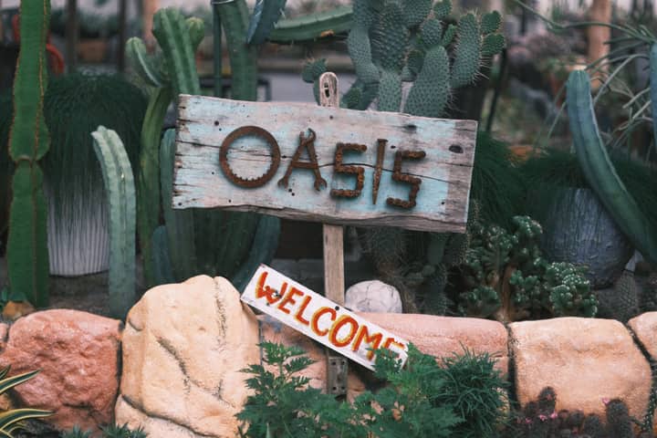 Charming rustic signboard reading 'Oasis Welcome' amidst lush cacti and stones.