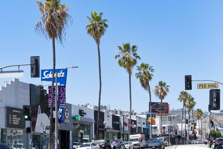 Vibrant view of Melrose Avenue featuring iconic palm trees and bustling storefronts in Los Angeles.