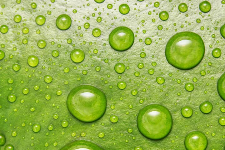 A vibrant macro shot of water droplets on a fresh green leaf, highlighting nature's beauty.