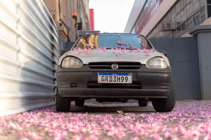 An old car covered with pink bougainvillea flowers in a narrow alley in Belo Horizonte.