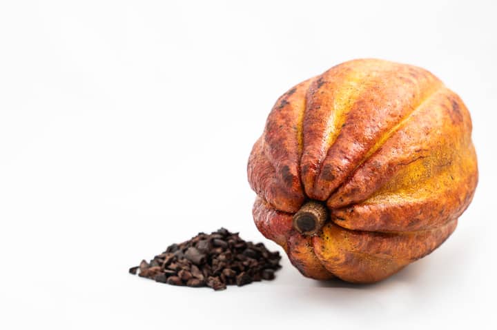 Vibrant cocoa pod and cacao beans on a white background, perfect for food industry visuals.