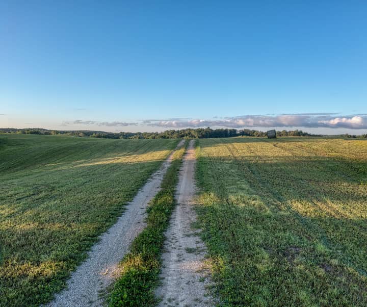 A serene rural dirt road through a grassy field in Nelson, Wisconsin, under a bright blue sky.