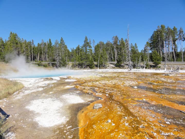 Colorful geothermal spring with steam in Yellowstone National Park under a clear blue sky.