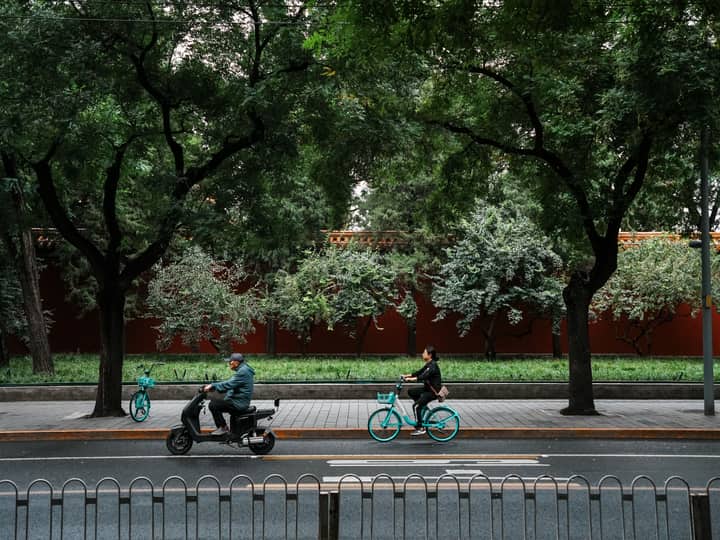 Two cyclists ride under lush trees along a peaceful urban street in China.