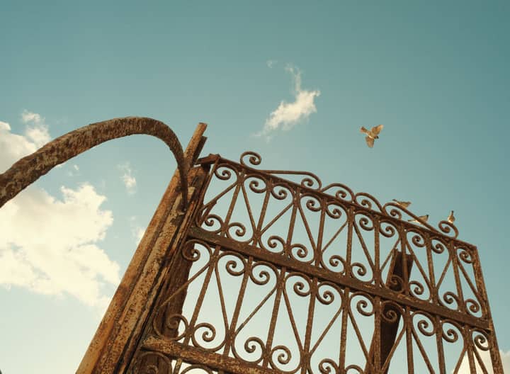 Artistic shot of a vintage rusty gate against a vivid blue sky with a bird flying overhead.