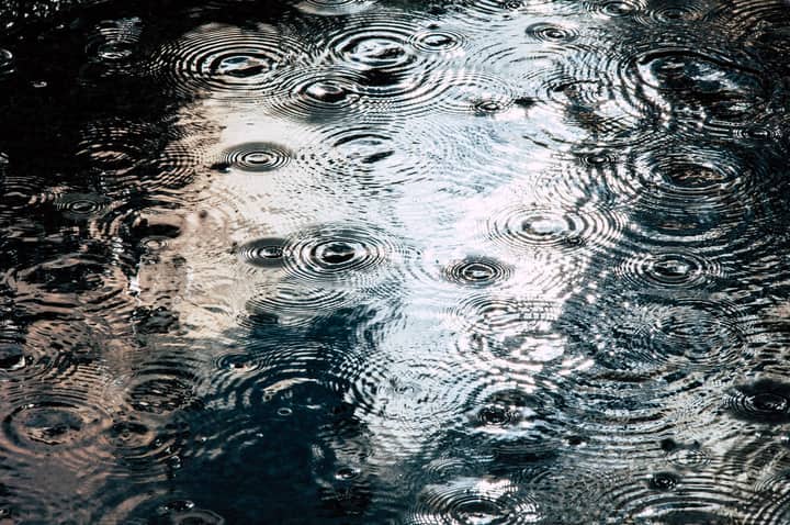 Raindrops creating ripples on a water surface, a serene and calming natural scene.