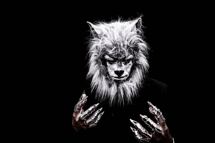 Striking portrait of an adult in a realistic werewolf costume with metallic claws against a black background.