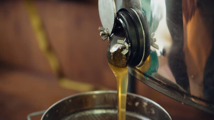 Close-up of honey pouring from an extractor spout into a strainer, highlighting honey production.
