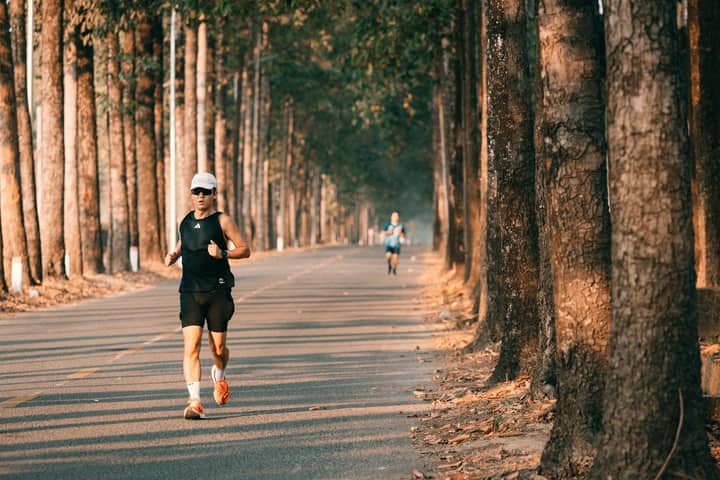 Two runners exercising on a serene forest road lined with tall trees, under warm daylight.