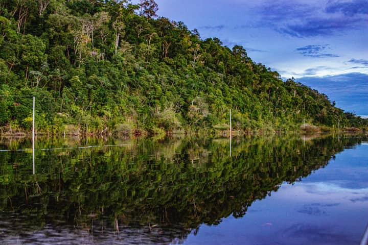 Vibrant Amazon rainforest reflection on a calm river in Parintins, Amazonas, Brazil.