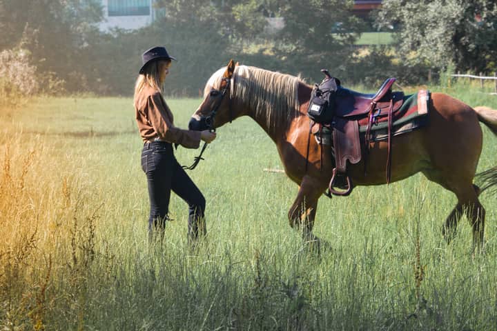 Side view of slender blond female in casual clothes and black hat caressing brown harnessed horse while standing on lawn with green lush grass at ranch in sunny day