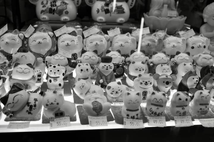 A captivating black and white display of various Maneki-neko figurines in a shop window.