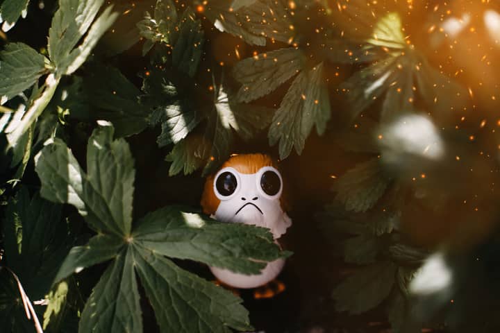 A captivating close-up of a toy Porg hidden among lush green leaves with sparkling light effects.