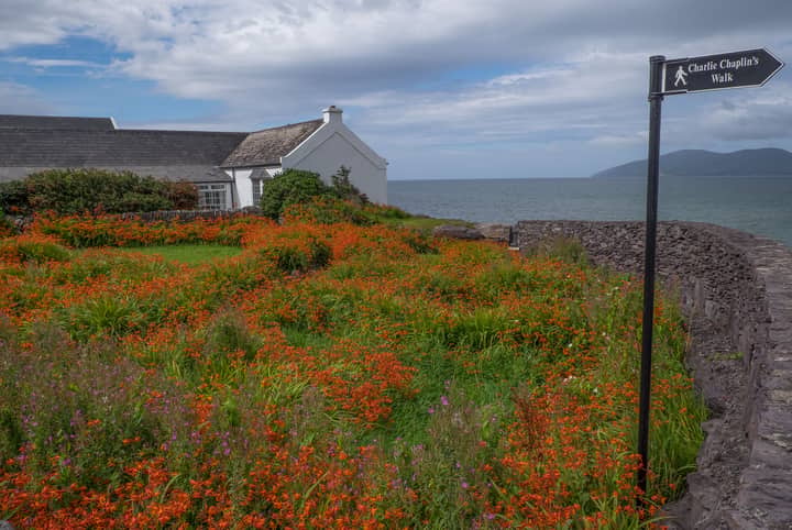 Scenic view of a cottage by Charlie Chaplin's Walk in Waterville, Ireland, with vibrant wildflowers.
