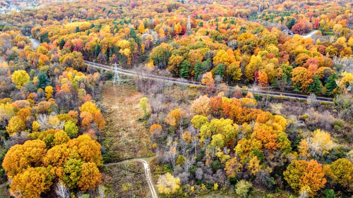 Vibrant aerial view of colorful autumn forest in Walker, Michigan.