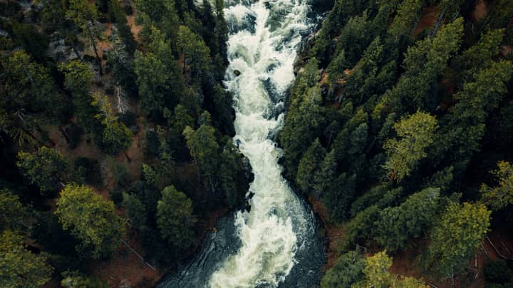A breathtaking aerial photograph of a rapid river flowing through a dense pine forest in Oregon.