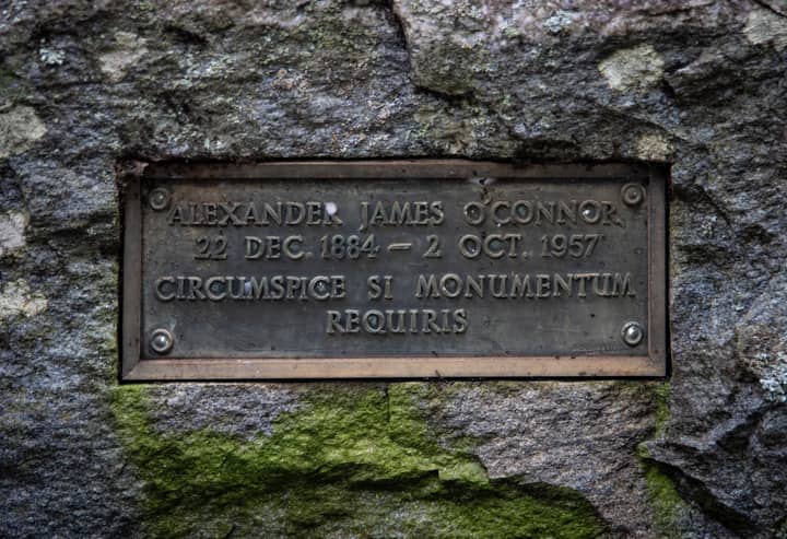 Close-up of a brass grave marker with a Latin inscription, surrounded by mossy stone.