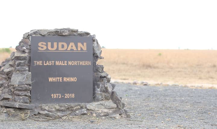 Memorial plaque for Sudan, the last male northern white rhino, located in Kenya.