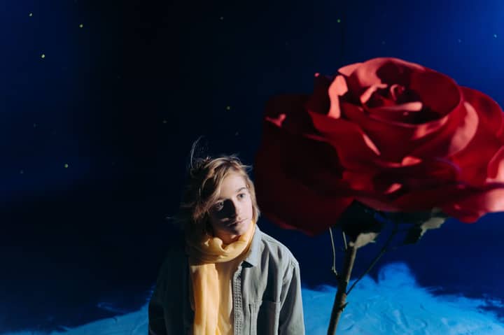 A young boy in costume standing beside a large red rose, reflecting The Little Prince theme.