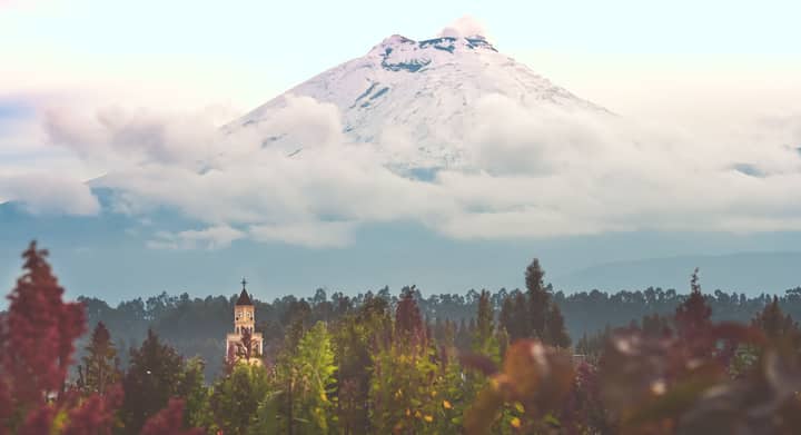 Serene view of Cotopaxi Volcano in Ecuador with lush green foreground and cloudy sky.