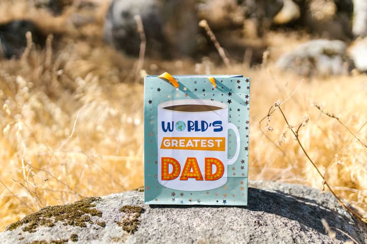 A gift bag with 'World's Greatest Dad' text set outdoors on a rock with dry grass.