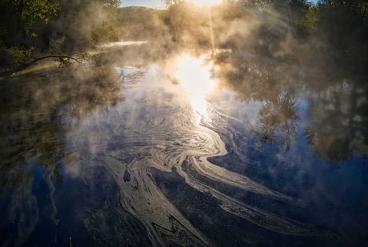 A tranquil misty lake reflecting sunlight and trees at sunrise, capturing nature's serene beauty.