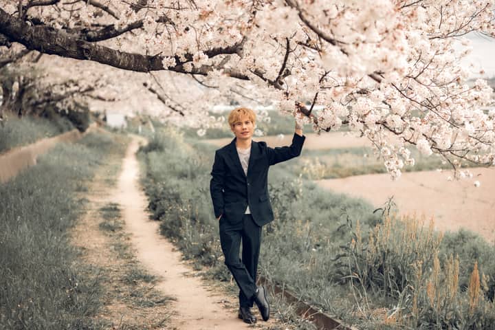 Stylish man standing under cherry blossoms on a rustic path in spring.