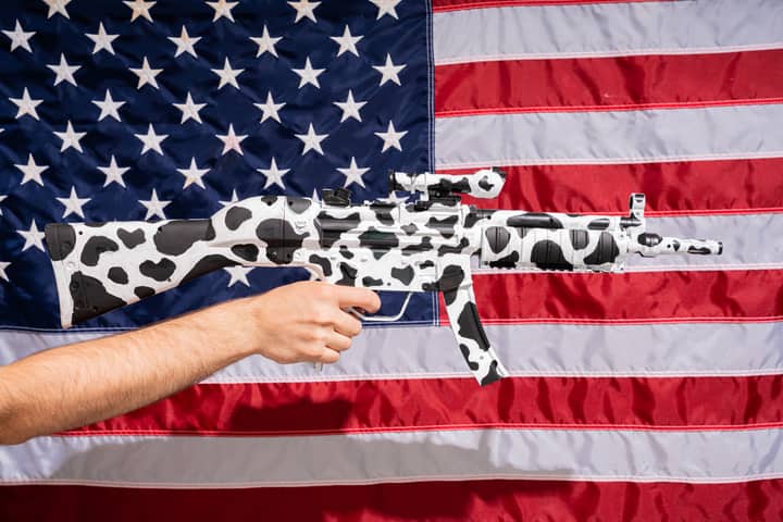 Cow-patterned rifle held in front of American flag, symbolizing culture clash.