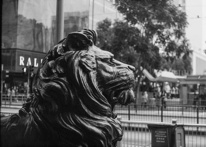 Lion statue in black and white on a bustling street in Hong Kong Island, capturing urban essence.