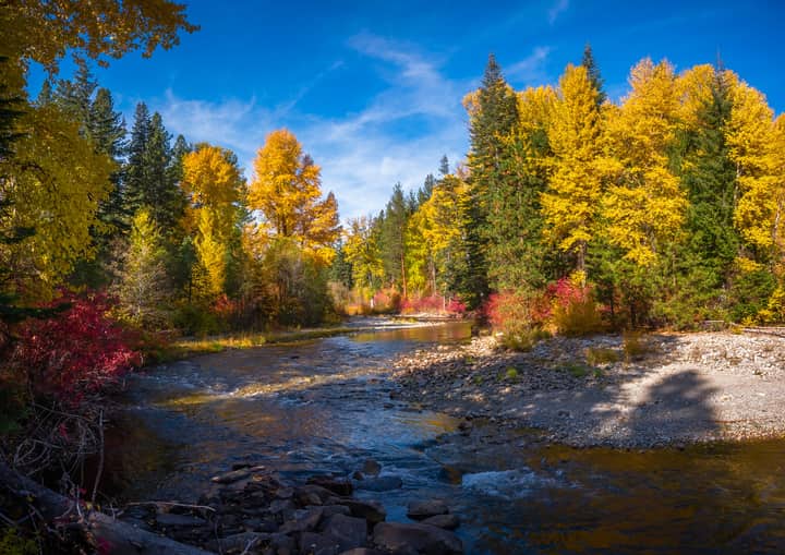 Vibrant fall colors along a serene river in Coles Corner, Washington, USA.