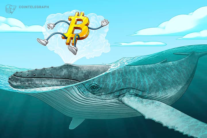 Bitcoin faces fresh capitulation risk as 50K BTC moved at a loss