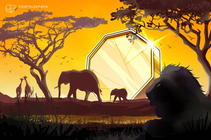 Zimbabwe admits seven fintech projects to regulatory sandbox